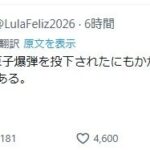 レス3番の画像1