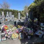 レス16番の画像2