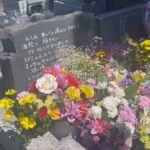 レス16番の画像1