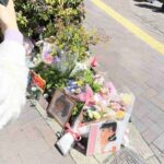 レス8番の画像2