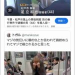 レス28番の画像1