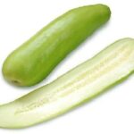 レス3番の画像1